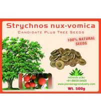 Strychnos Nux-Vomica / Jahar Tree Seed 500 grams